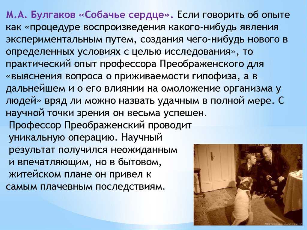 Характеристика героев собачьего сердца сочинение
