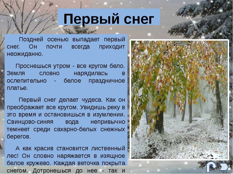 "описание первый снег": топ-7 лучших сочинений 2023 года!