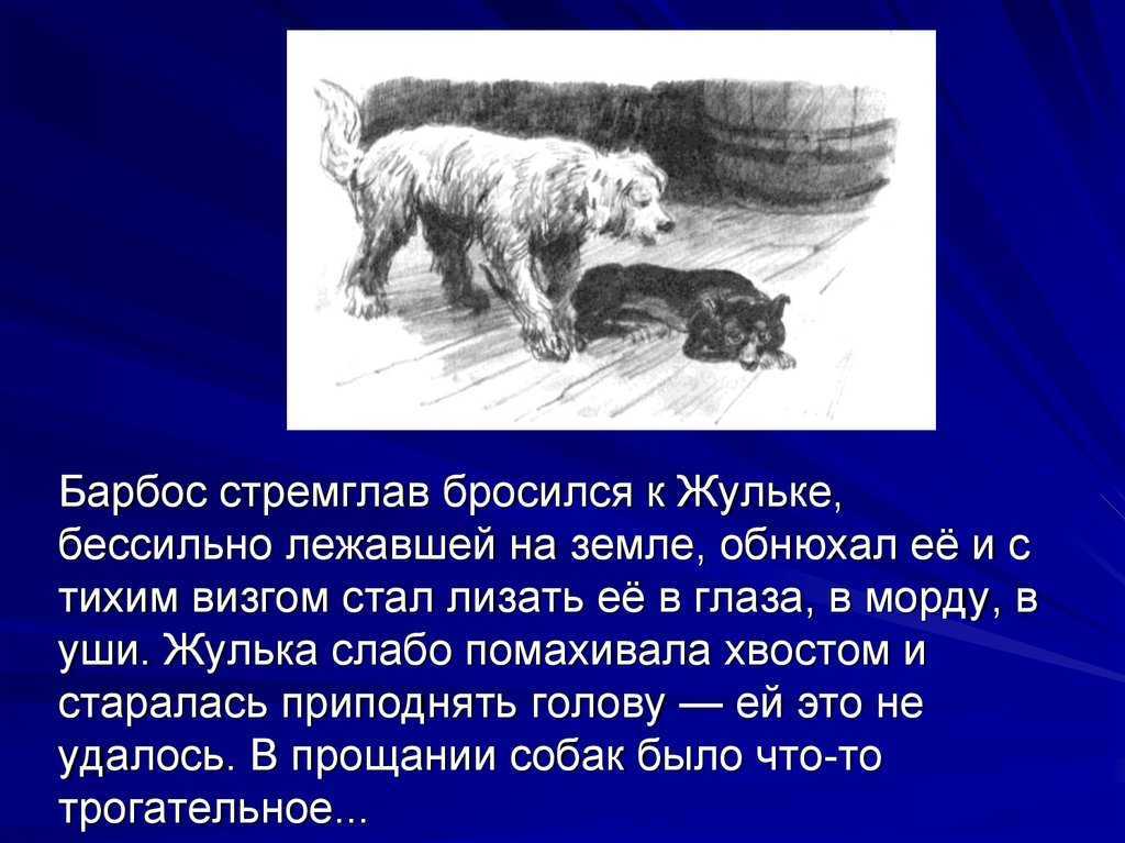 Куприн барбос и жулька краткое содержание для читательского дневника