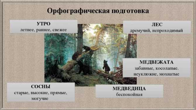 «утро в сосновом лесу» сочинение по картине шишкина