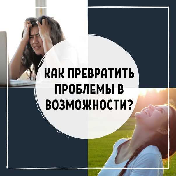 Презентация на тему "проект школьный двор" для 9 класса