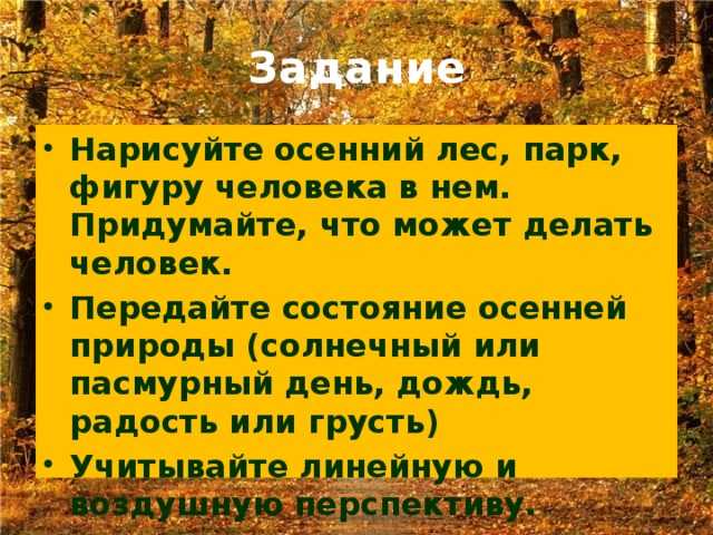"человек и природа": топ-7 лучших сочинений 2023 года!