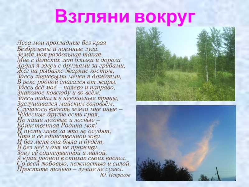 Сочинение родной край (мой любимый край)