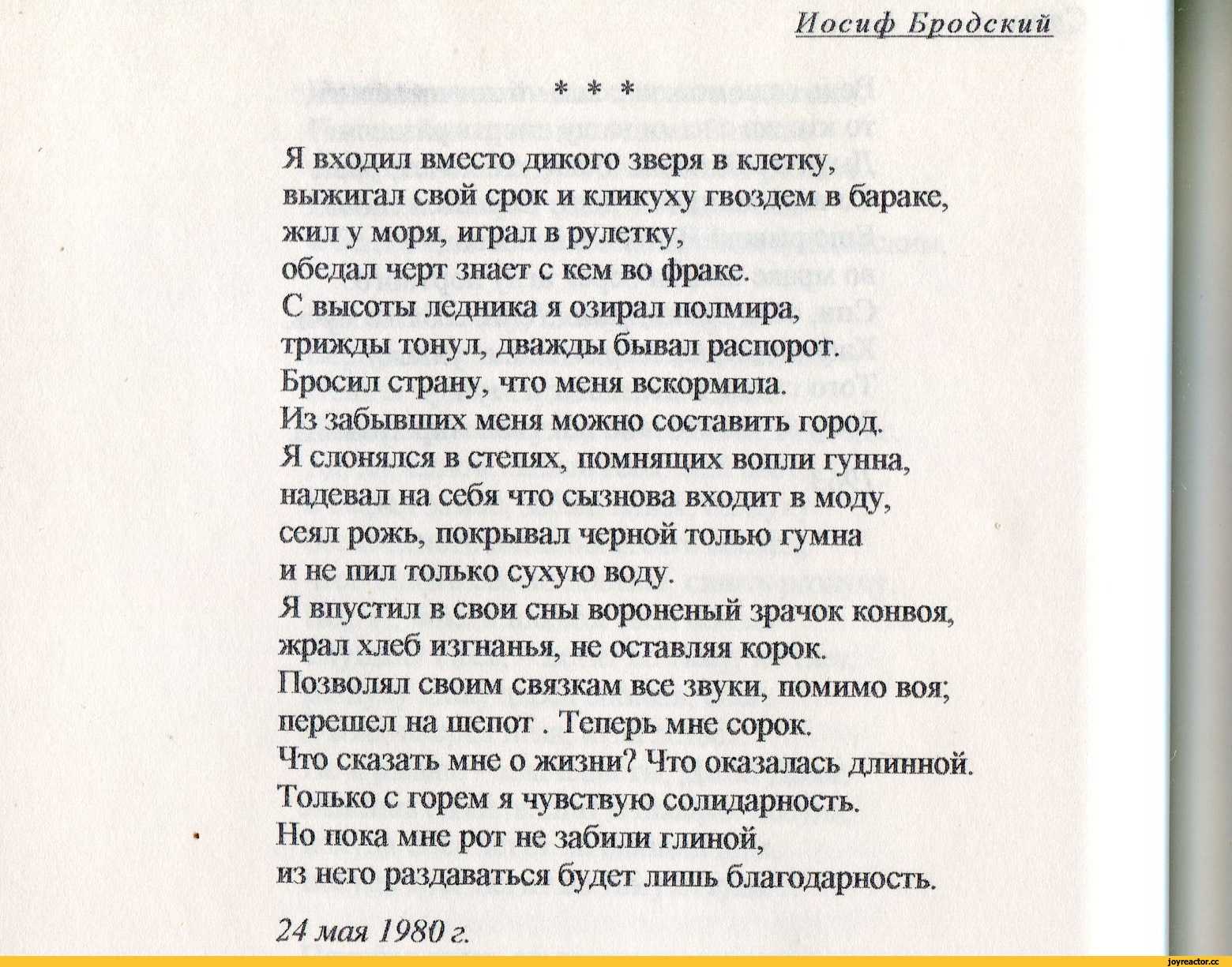 Переживи всех Переживи вновь, словно они  снег, пляшущий снег снов Переживи углы Переживи углом Перевяжи узлы между добром и злом Но переживи миг И переживи век Переживи крик Переживи смех Переживи стих Переживи всех