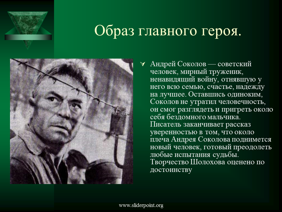 Образ и характеристика андрея соколова в рассказе "судьба человека": внешность и характер, судьба и жизнь главного героя - лит школа