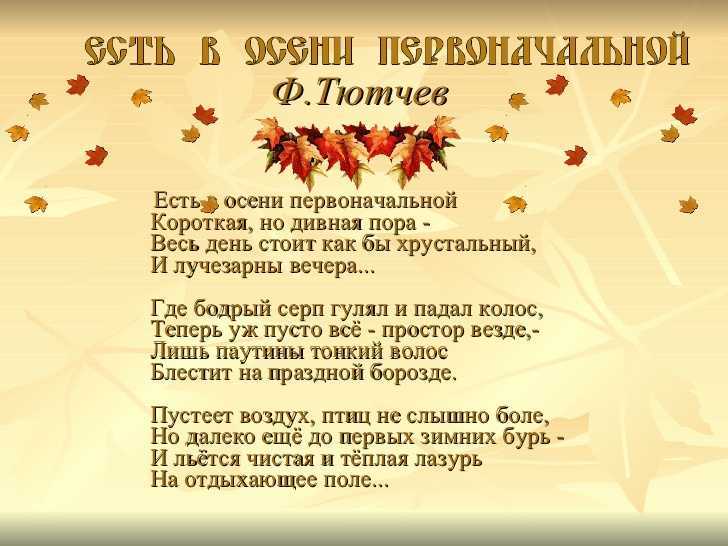 Собрание современных и классических стихотворений по теме У окна Только избранные стихи лучших поэтов Частые обновления