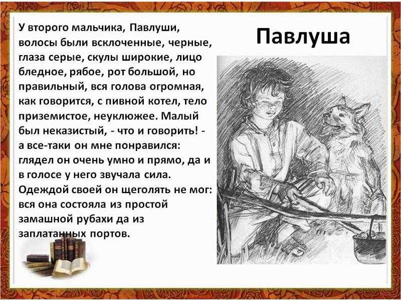 Характеристика и образ павлуши из рассказа бежин луг тургенева сочинение