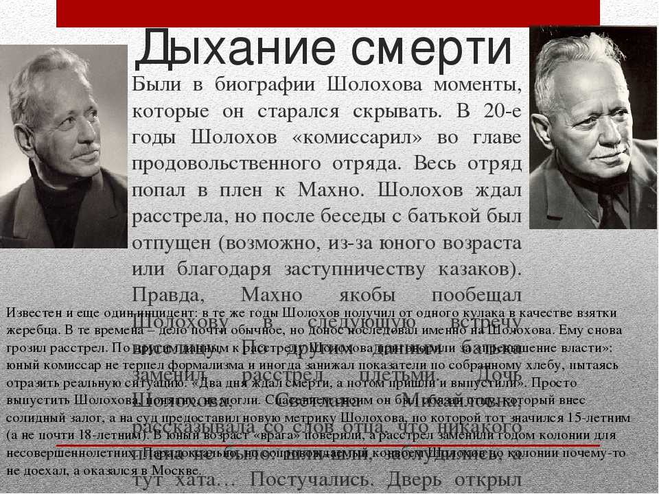 Биография шолохова кратко