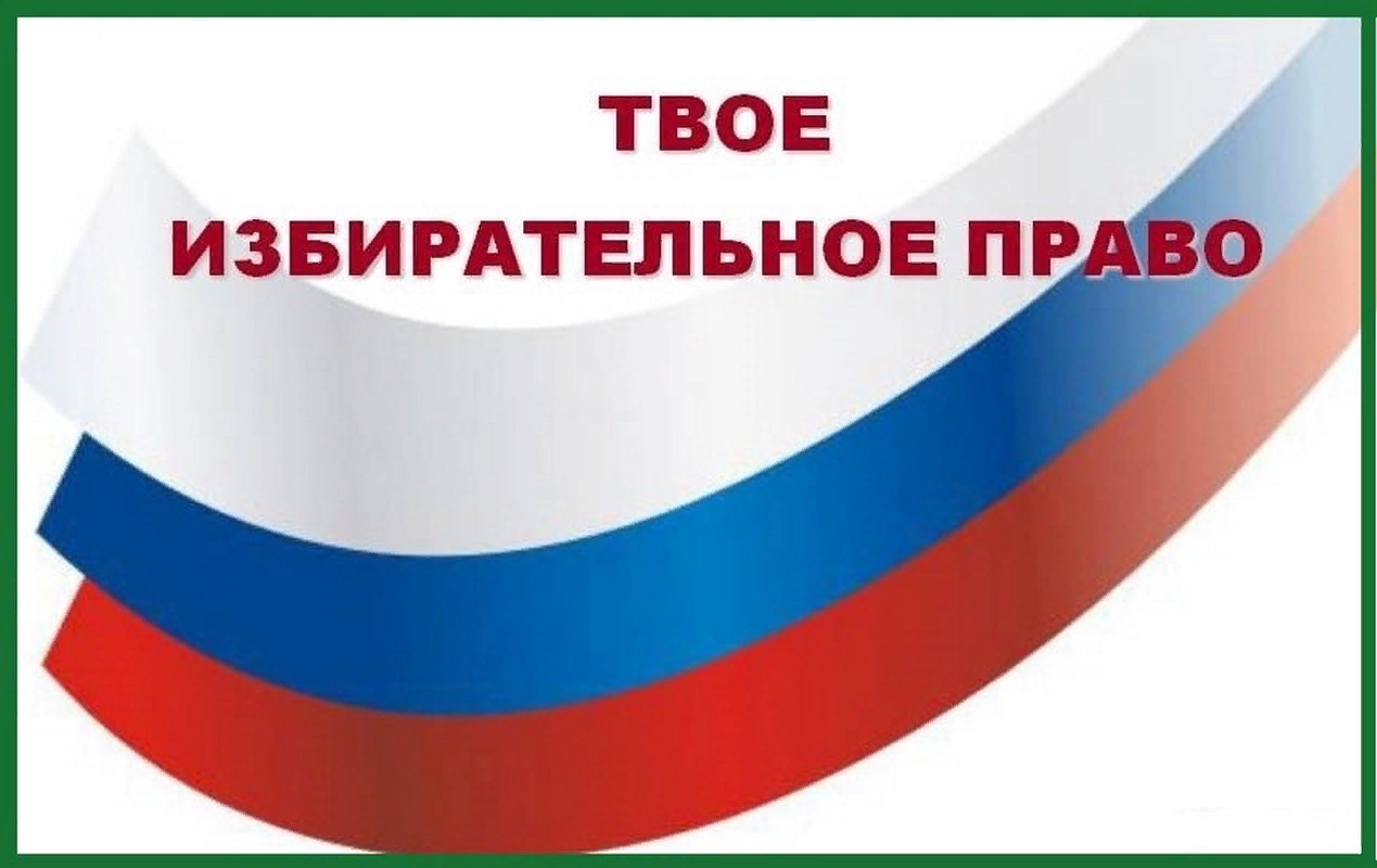 Я будущий избиратель- презентация по обществознанию (9 класс)  доклад, проект