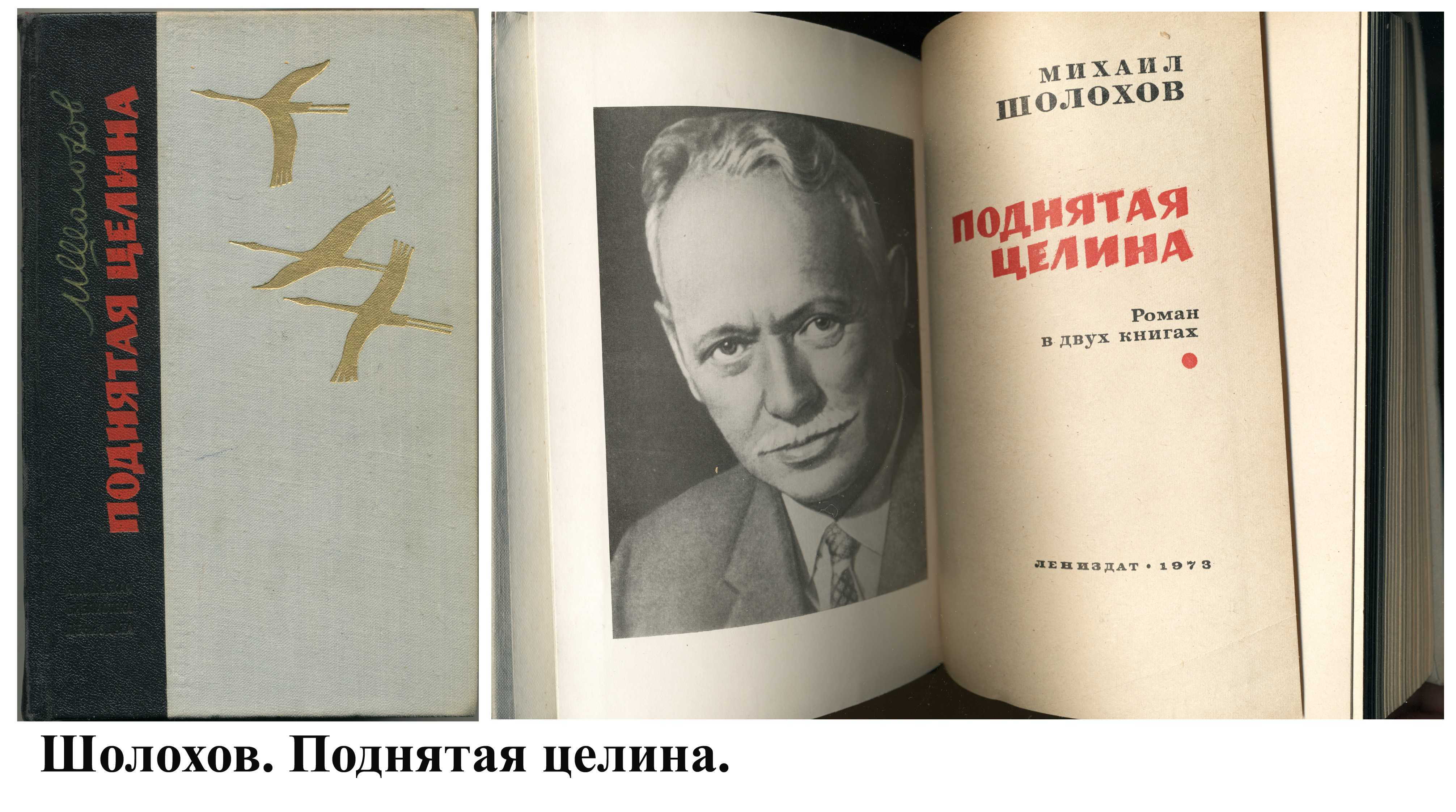 "донские рассказы" михаила шолохова: времена гражданской войны