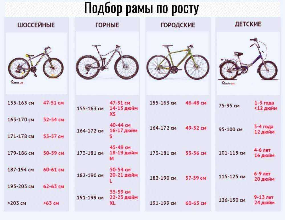 Автомобиль или велосипед: какой лучше выбрать?