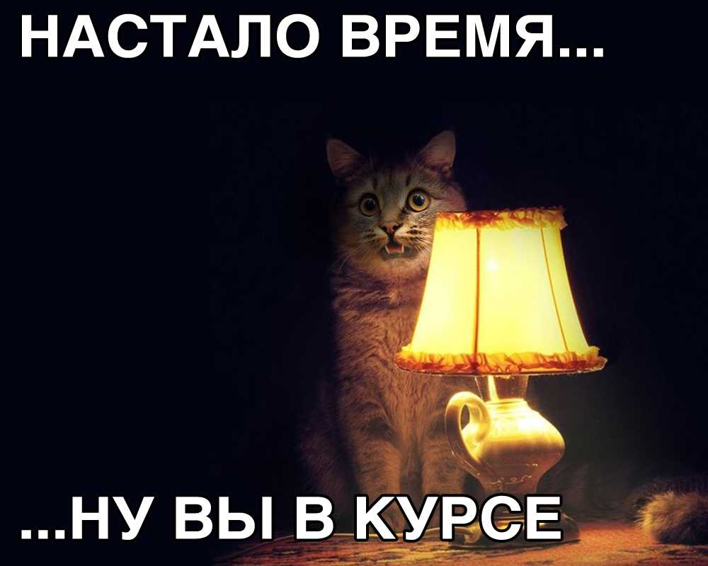 15 историй о случаях, которые настолько редки, что кажутся почти невозможными
