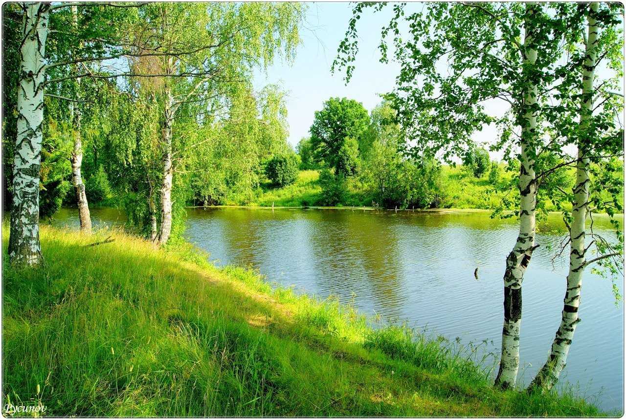 «моя родина — кубань». конспект занятия-беседы в старшей группе (1 фото)
