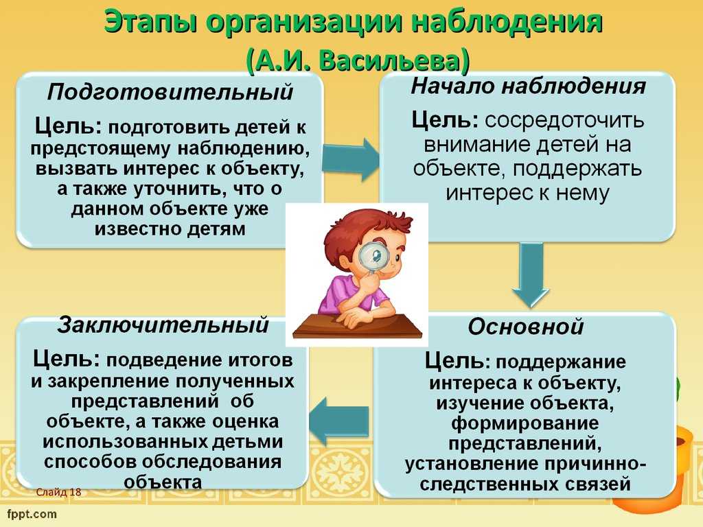 Дневник наблюдений за природой. как вести дневник самому