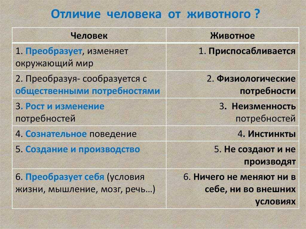 Сочинение на тему что значит быть талантливым читателем