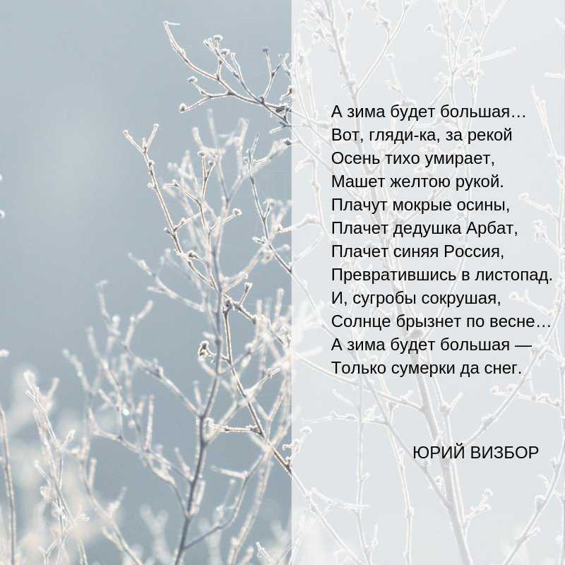 "осень (мои пальцы из рук твоих выпали…)", белый, андрей — поэзия | творческий портал