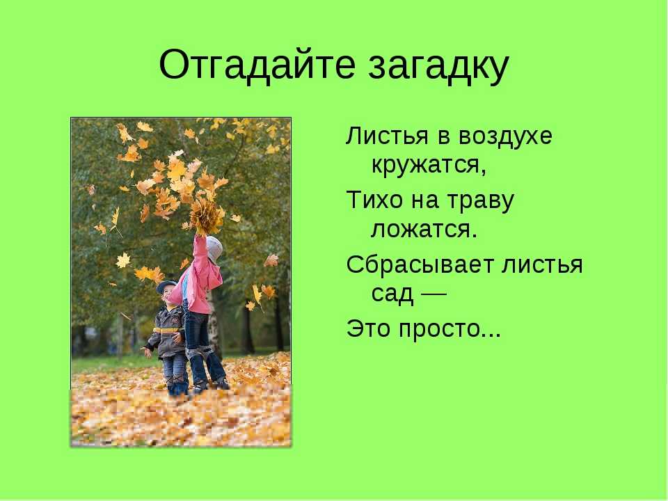 Сочинение осенний листопад - лучшие сочинения