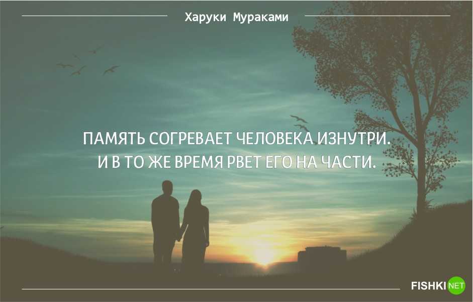 Цитаты из книг харуки мураками - gmgo