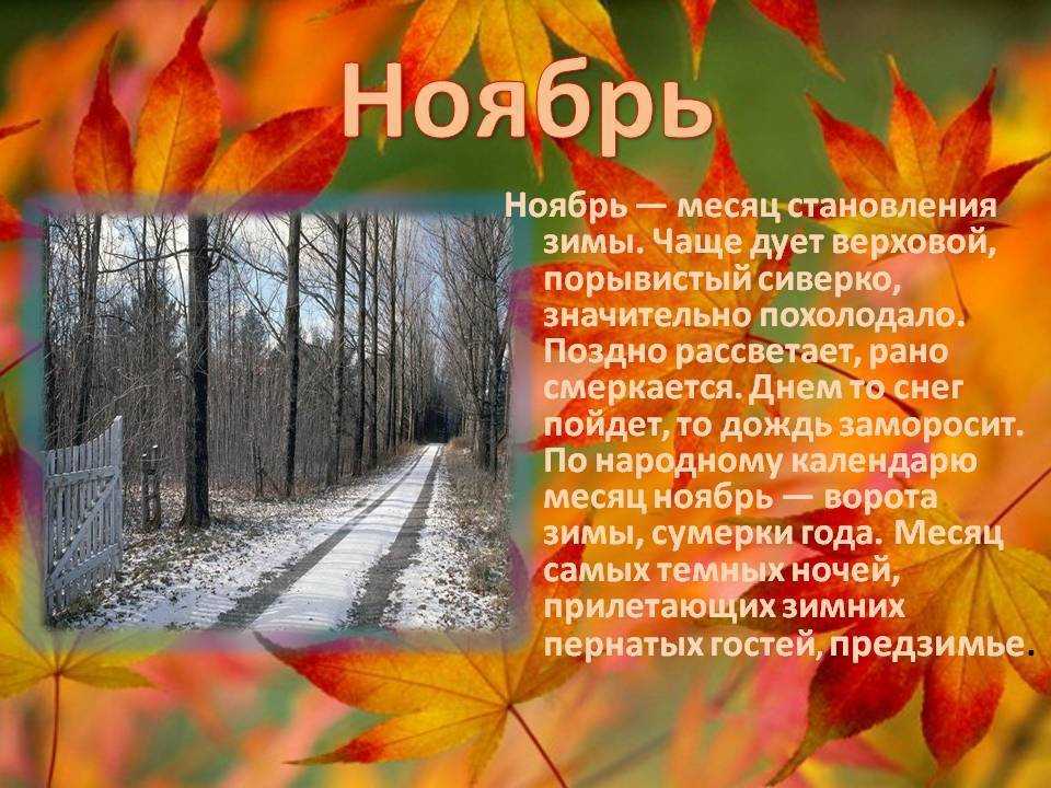Ноябрь- последний месяц осени - сенд ап
