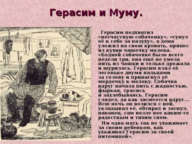«муму»: топ 8 сочинений для 5 класса 2023 года