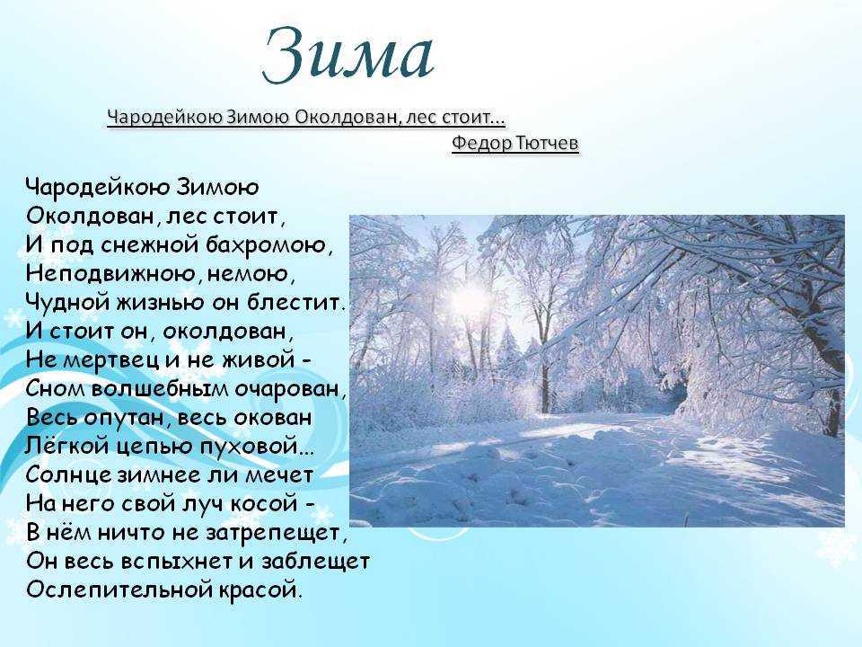 Метель| кобальт