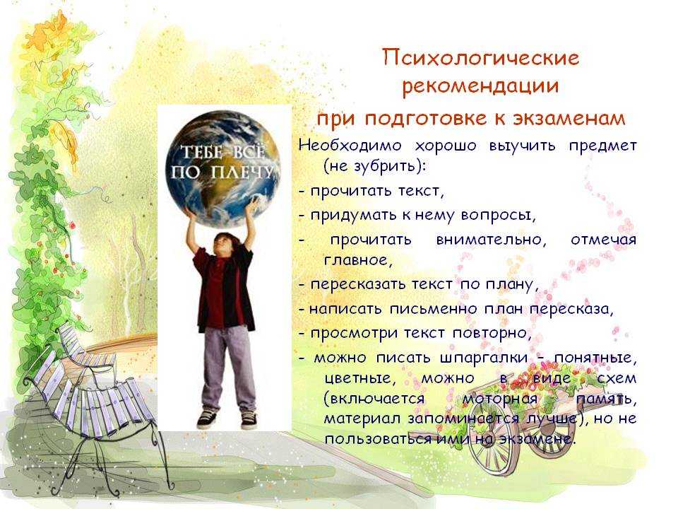 Попугай - мое любимое домашнее животное (мой питомец), сочинение