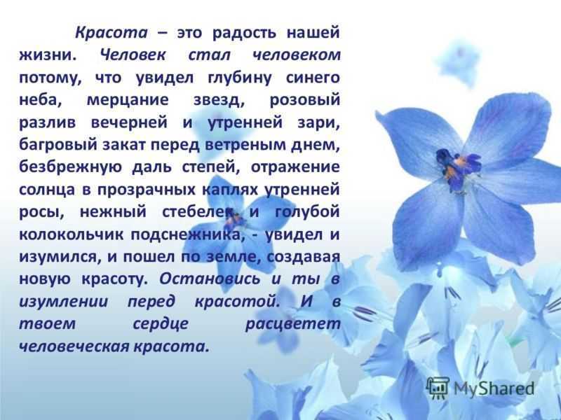 «красота вокруг нас»: 8 сочинений для школы 6 класс 2023 года