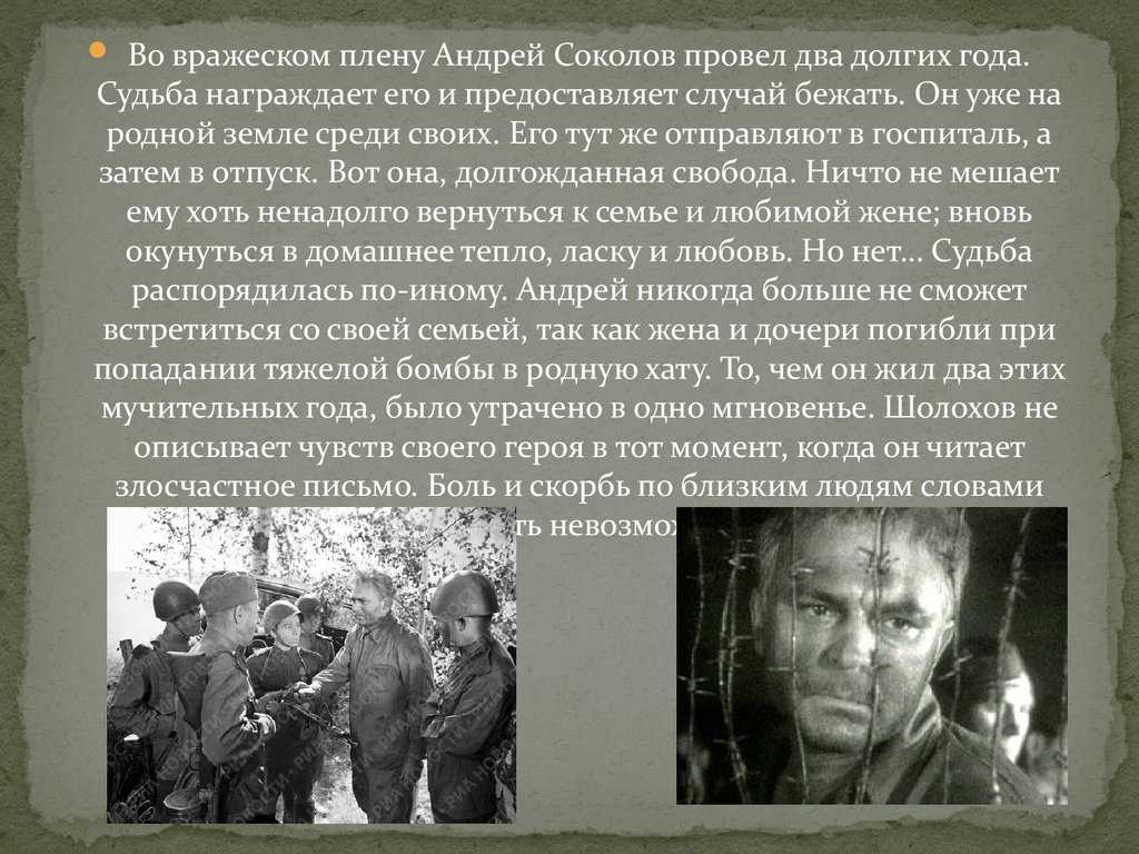 Статьи