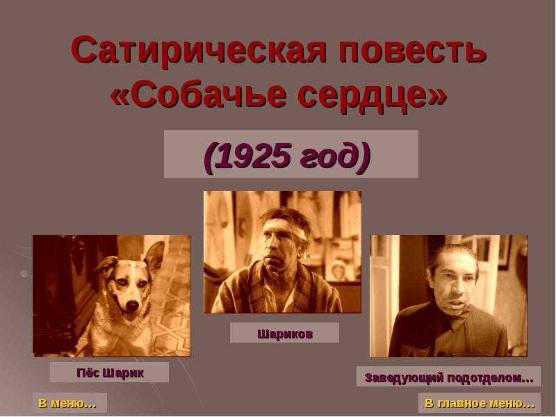 «собачье сердце». кратко