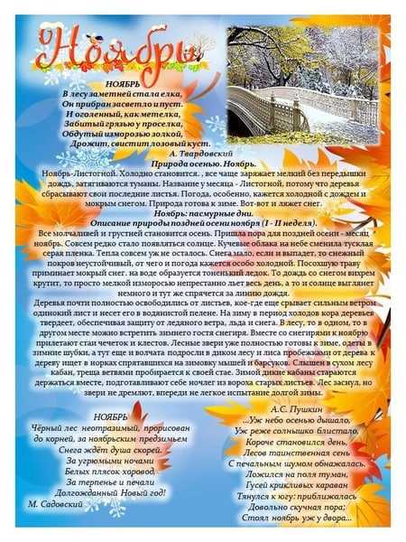 Какие праздники отмечают в ноябре в разных странах