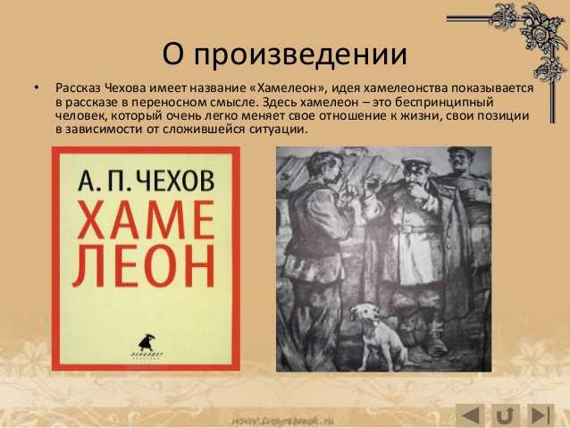 Краткое содержание «хамелеон» за 30 секунд и подробно за 2 минуты
