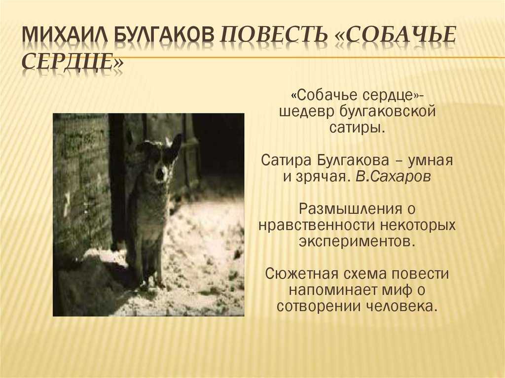 Сочинение на тему: шариковщина в наши дни в повести собачье сердце, булгаков