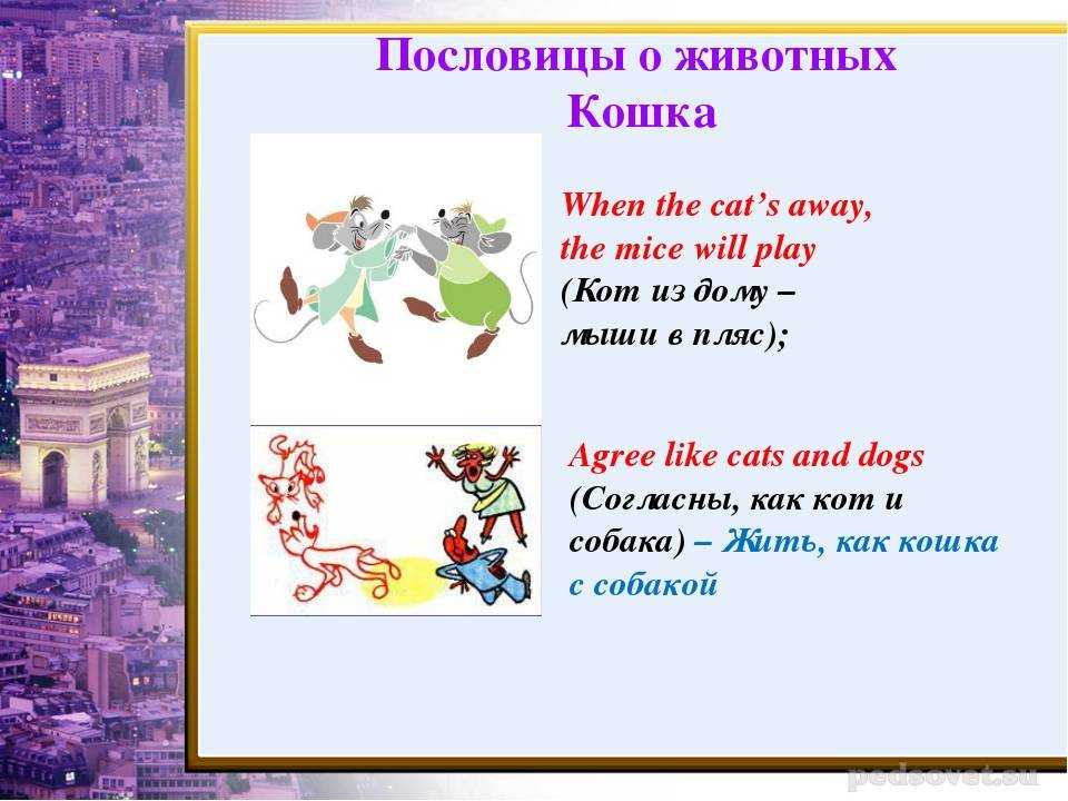 Сочинение на тему честность, что такое честность? рассуждение 15.3 огэ 9 класс