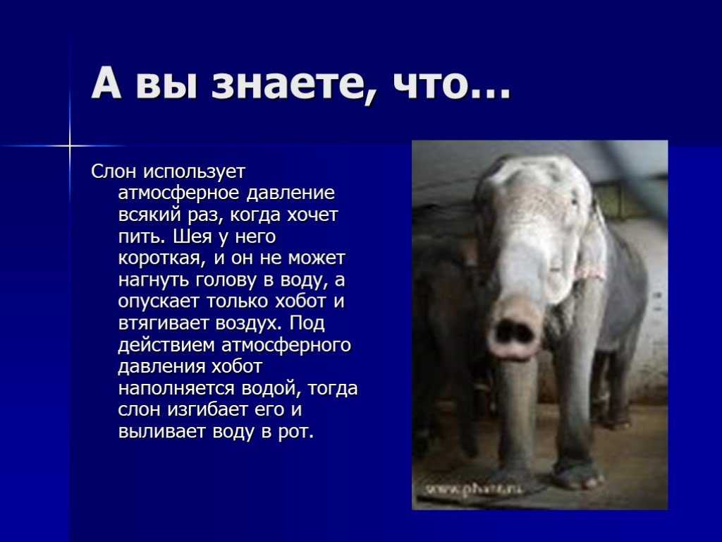 Презентация на тему физика вокруг нас