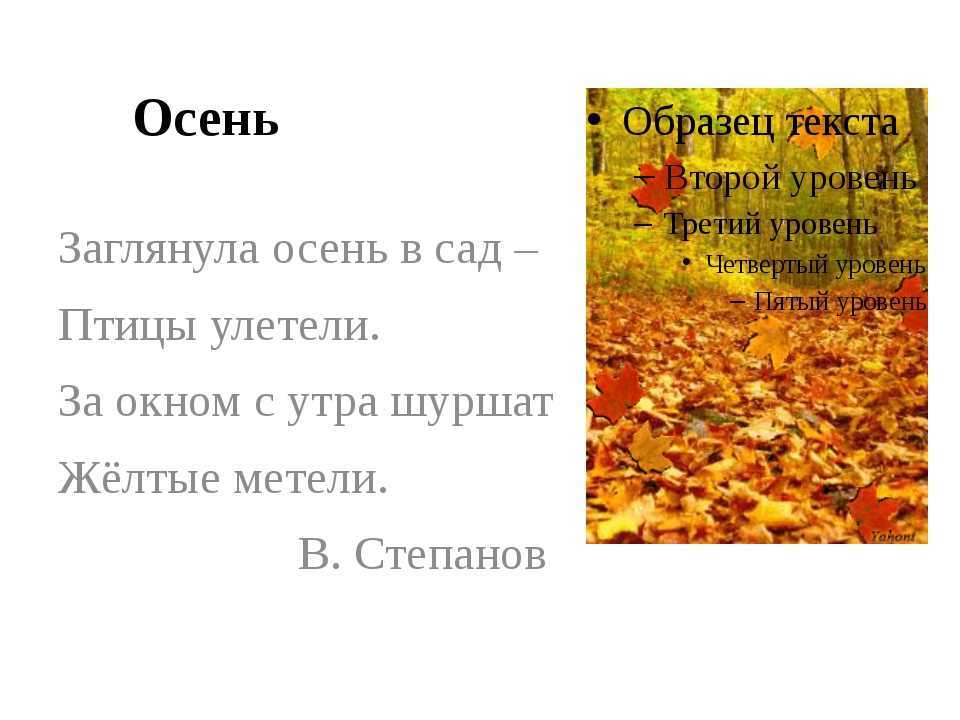 Сочинение на тему: осень (6 вариантов и 36 похожих топиков)