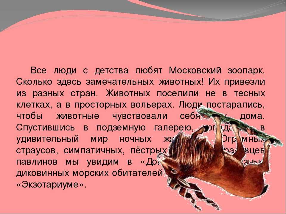 Сочинение на тему зоопарк (поход в зоопарк)