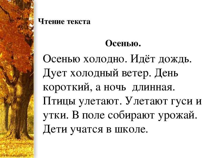 Сочинение на тему: осенний лес — 3 варианта и 16 похожих топиков