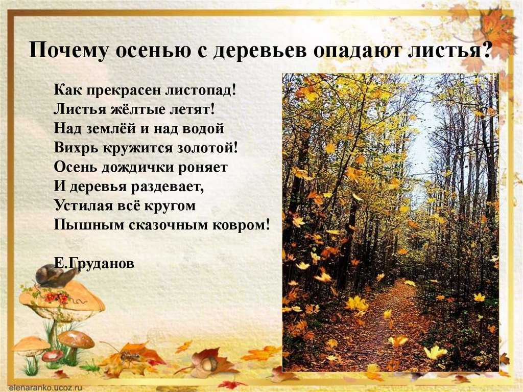Сочинения на тему «осень» 4 класс - ✍️ 5 отличных сочинений