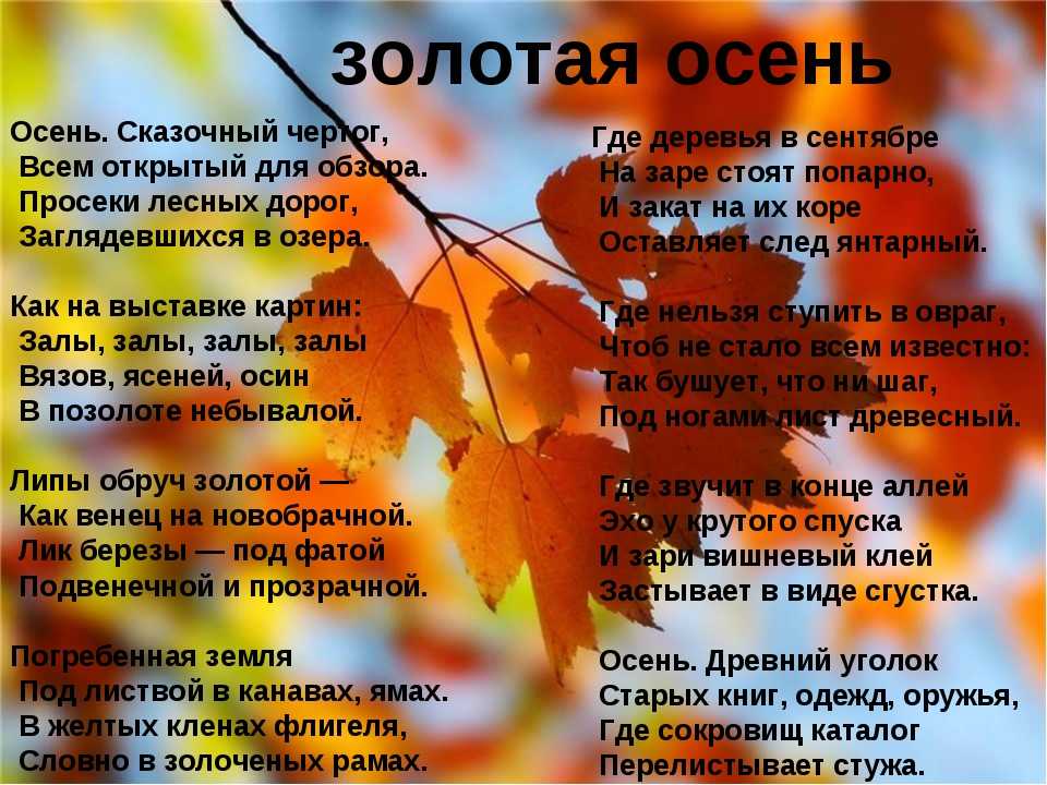 Сочинение осенний лес (3 варианта и 16 похожих топиков)
