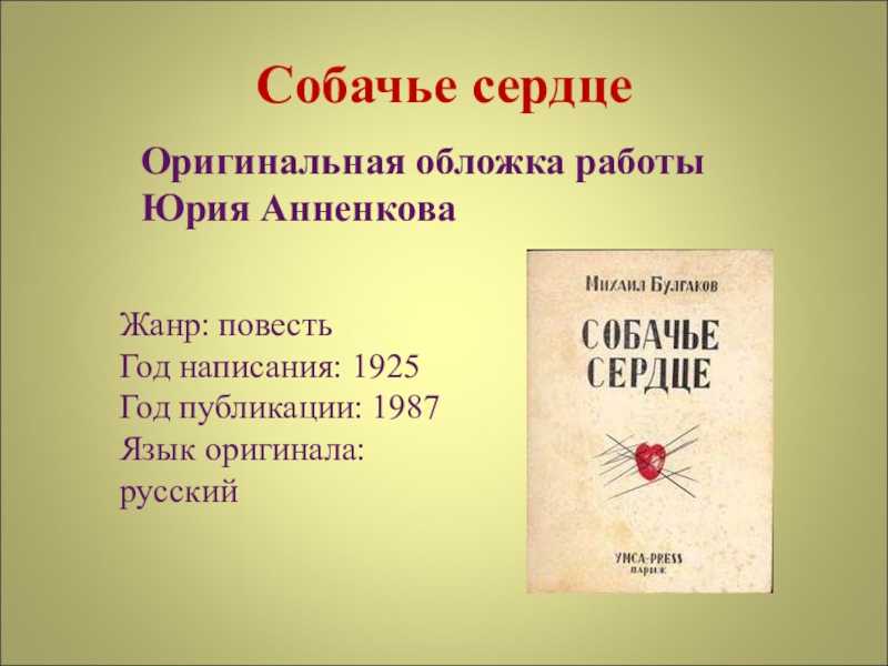 Краткое содержание «собачье сердце»
