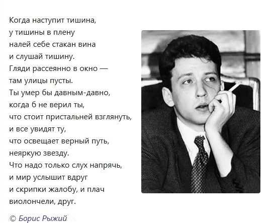 Ты столь паршива моя кошка » собачки и кошечки