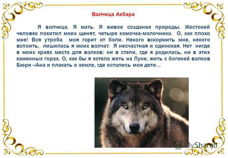 Литература / книги