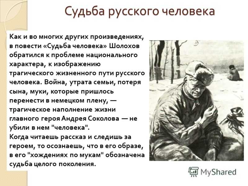«судьба человека» анализ произведения шолохова – язык, жанр, план, основная мысль рассказа