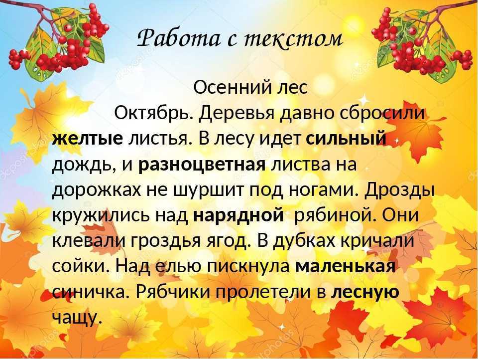 Сочинение осенний лес (осень в лесу) 2, 3, 5, 6 класс