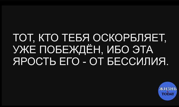 «собака на сене», лопе де вега | книги онлайн читаем у нас – библиотека fictionbook