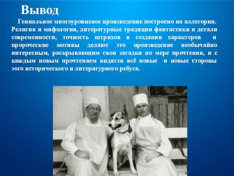 Краткое содержание повести «собачье сердце» (м.а. булгаков)
