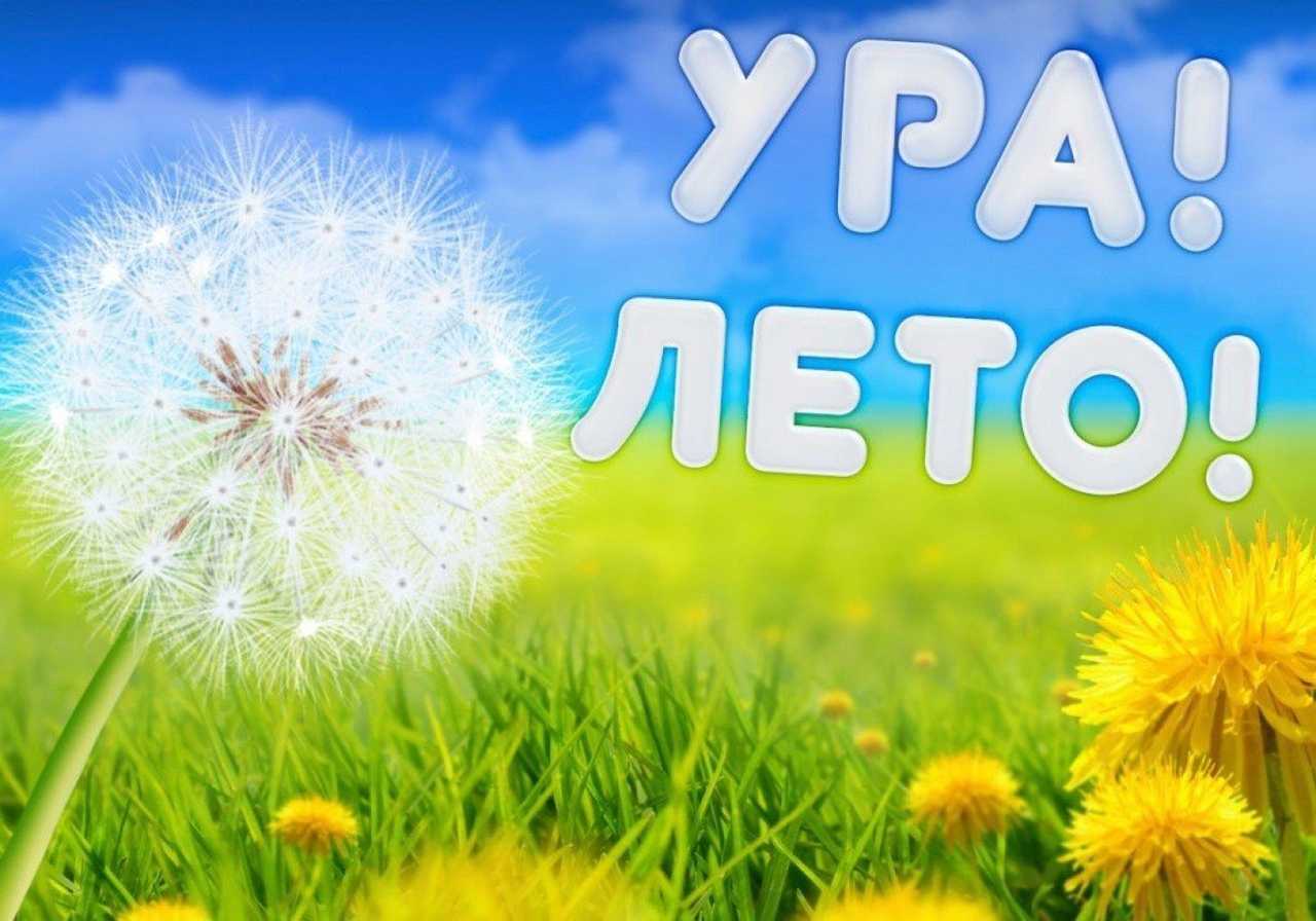 Сочинение на тему "как я проведу лето"