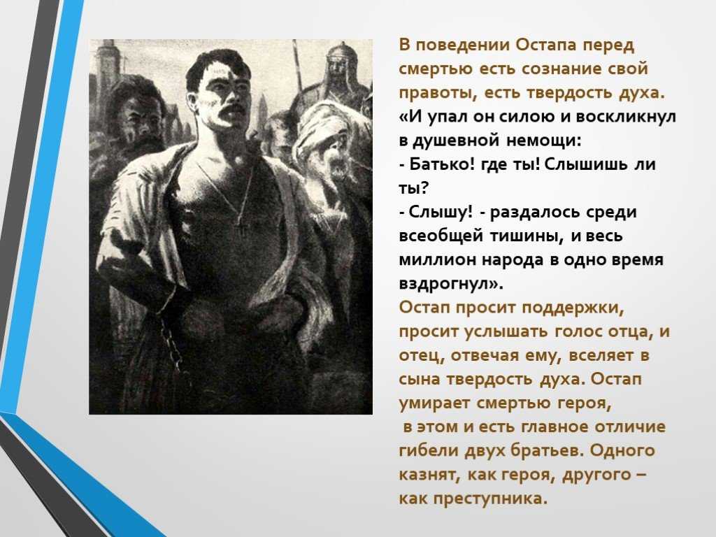 Остап и андрий в сечи.