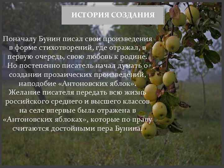 Антоновские яблоки бунина, это любовь к нашим родным местам.