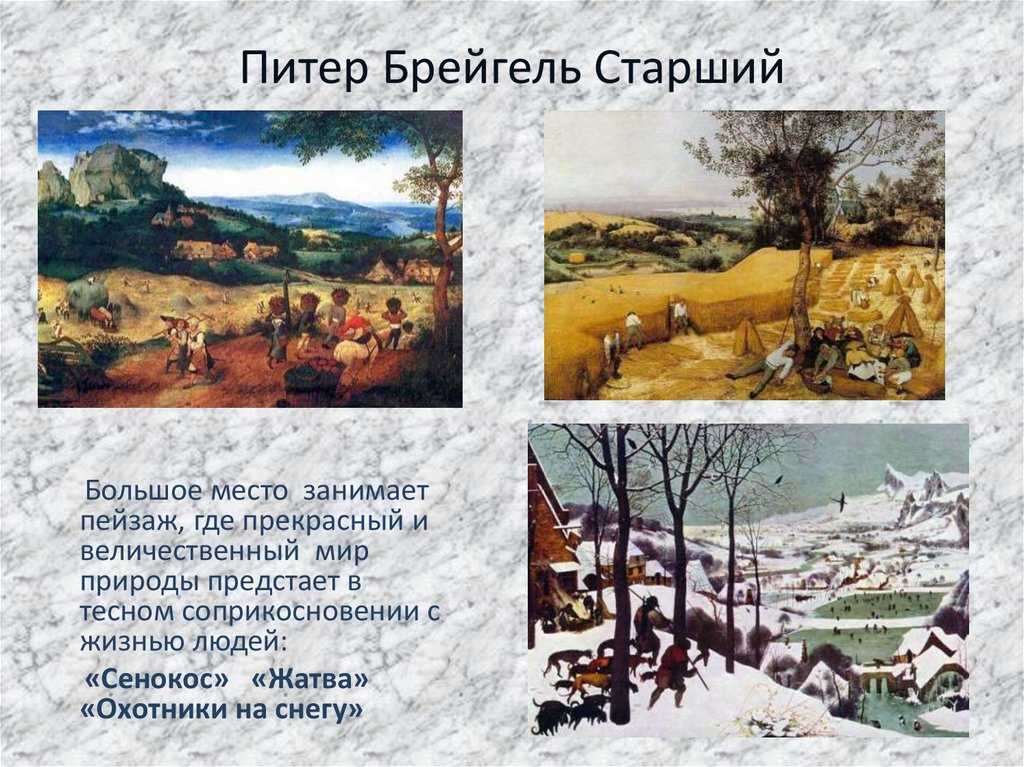 Брейгель питер старший: биография и произведения